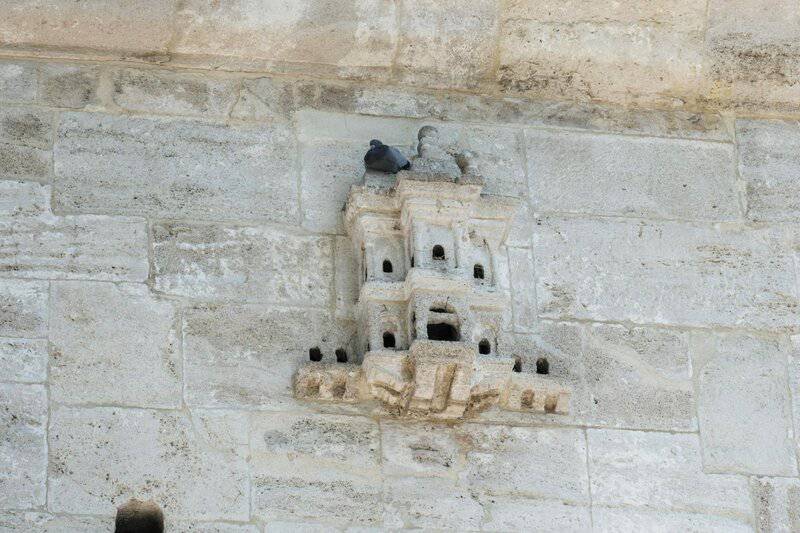 30 Animals Whose Building Skills Rival Human Engineers