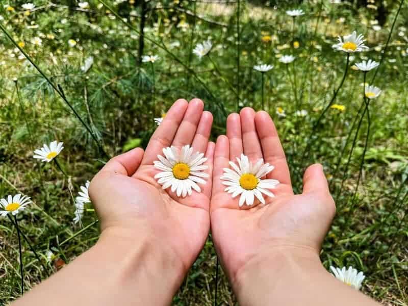 I Study Identical Twins—What I&#8217;ve Discovered About DNA Will Disturb You