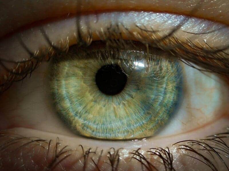How Blue Light From Screens Affects Aging Eyes Differently Than Young Ones
