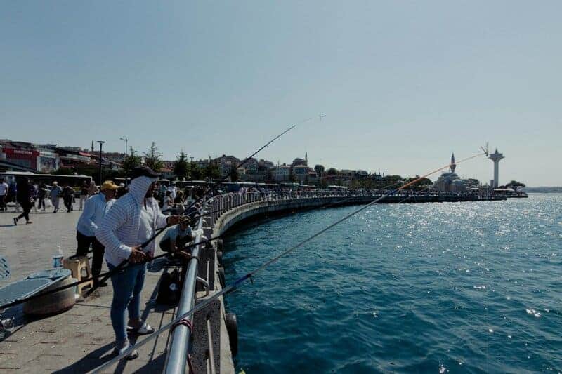 Marine Biologists Discover 60,000-Year-Old Underwater Forest Off Alabama Coast