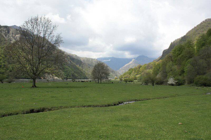 Should We Bring Back Extinct Species? What Science and Ethics Say