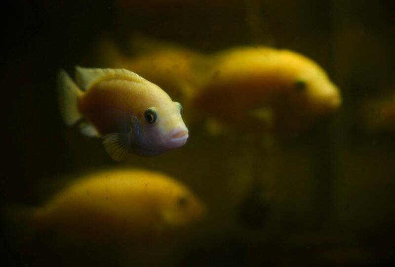 15 Medical Conditions That Sound Fake (But Aren’t)