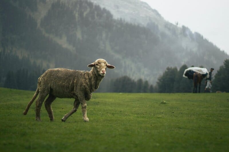 15 Worst-Case Scenarios That Scientists Are Actually Planning For