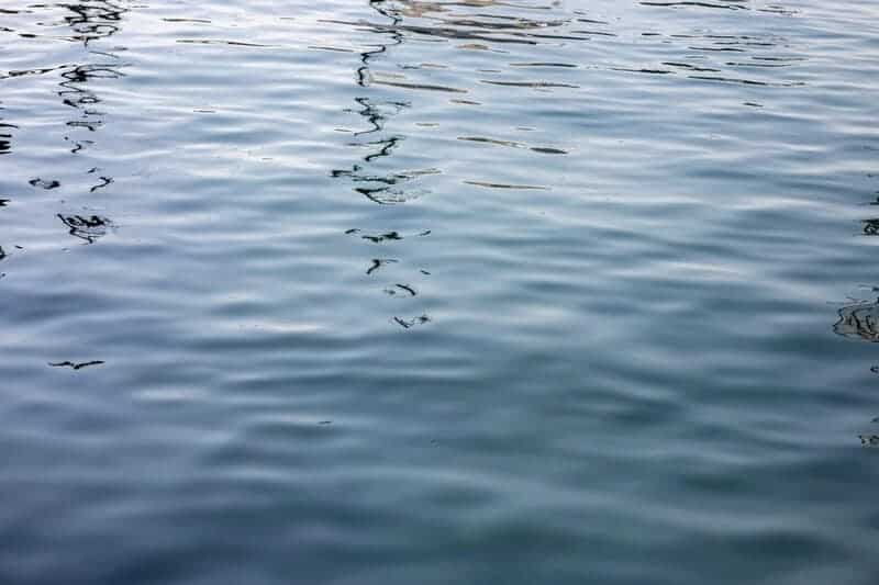 15 Crucial Elements That Made Life on Earth Possible