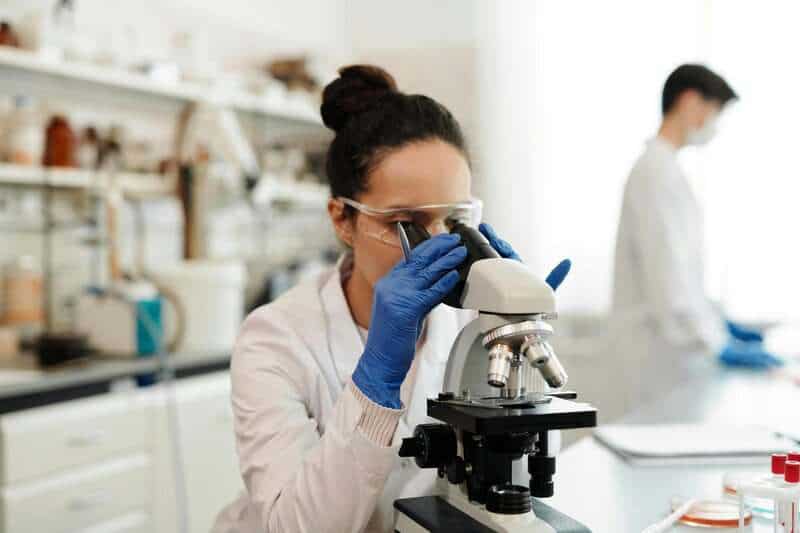 Bone-Eating Worms Have Been Cleaning Ocean Floors for Over 100 Million Years