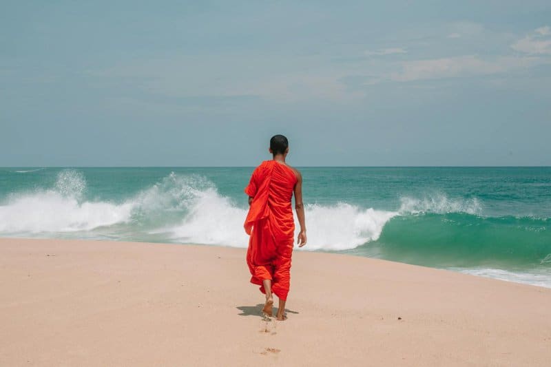 The Ocean&#8217;s Missing Sound: Why Whales Can&#8217;t Hear Each Other Anymore