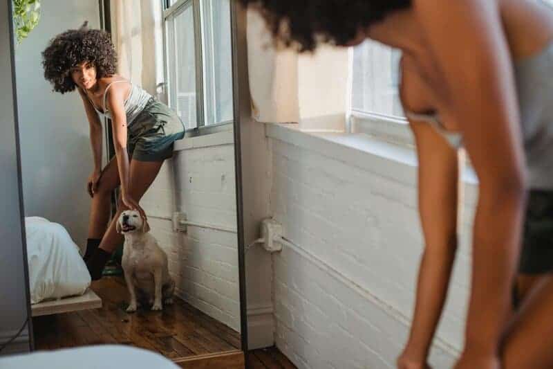 The Mirror Test Results: 23 Animals That Actually Recognize Themselves