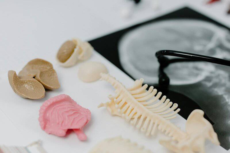 Scientists Discover Coffee&#8217;s Hidden Power to Block the Brain Chemistry of Addiction