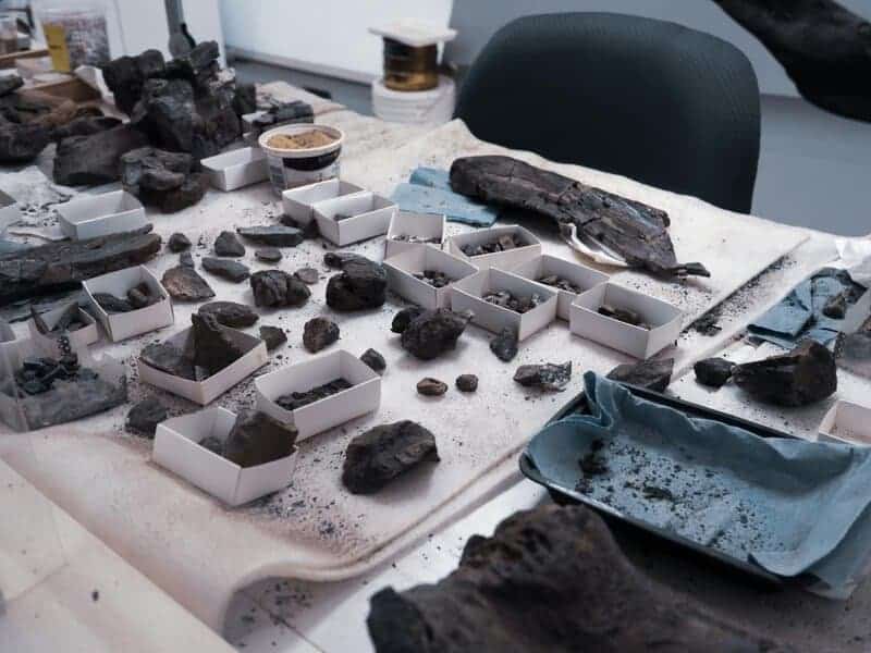 The Mississippi River Dried Up and Revealed Environmental Horrors Nobody Was Prepared For