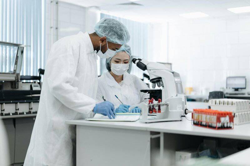 Scientists Map 140,000 Neurons in Fruit Fly Brain &#8211; Here&#8217;s What It Reveals About Human Memory