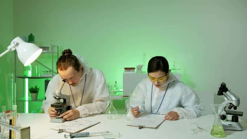 Archaeologists Discover 14,000-Year-Old Bread Remains That Predate Agriculture