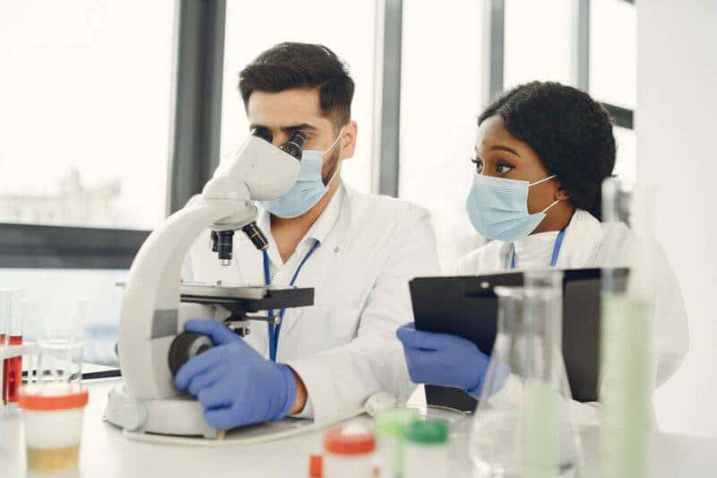 Stanford Team Makes Living Skin Transparent Using Doritos Ingredient