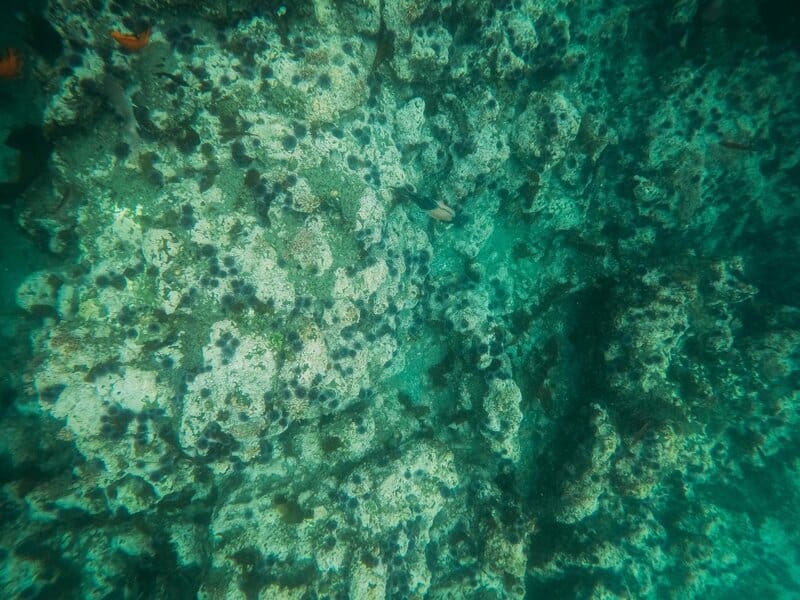 15 Places Already Transformed by Global Warming