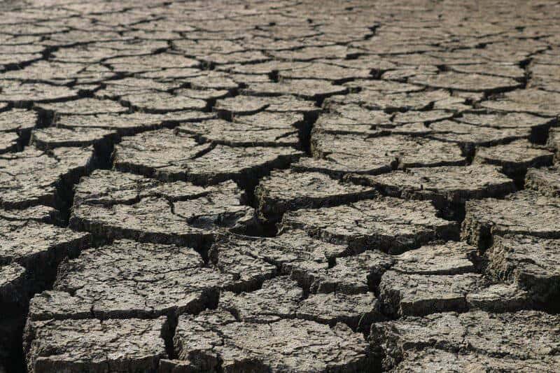 Turning Saltwater Into Survival: The High-Tech Race to Save Our Thirsty Planet