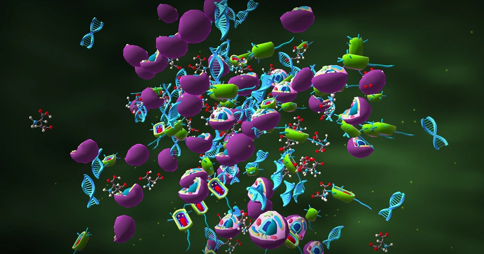 15 Steps from Non-Living to Living: How Life May Have Evolved