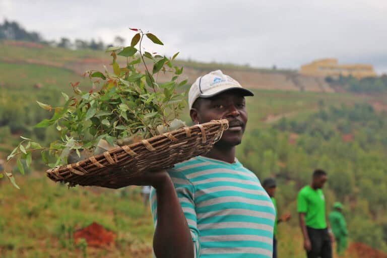Forest Apocalypse: Why 2025&#8217;s Deforestation Crisis Threatens Human Civilization