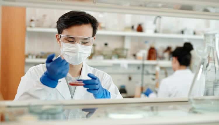 Northwestern Scientists Find the &#8216;Off Switch&#8217; for Lupus Hidden in Human DNA