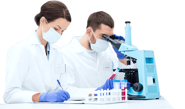 Sea Cucumbers Contain Unique Sugar That Blocks Cancer-Spreading Enzyme Sulf-2