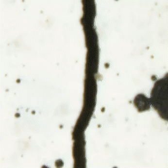 15 Strange but True Discoveries From Cutting-Edge Research Labs