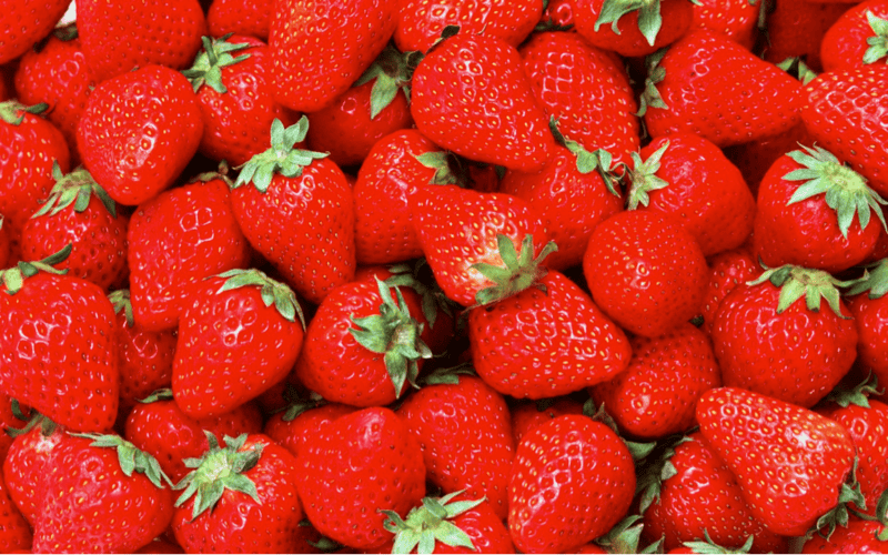 The Fountain of Youth Is Real: Inside the $6.4 Billion Quest to Reverse Human Aging