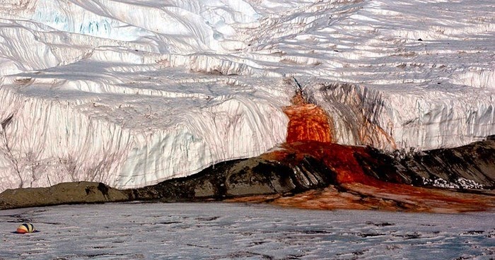 Antarctica Is Bleeding Red—And It&#8217;s Not What Climate Scientists Expected