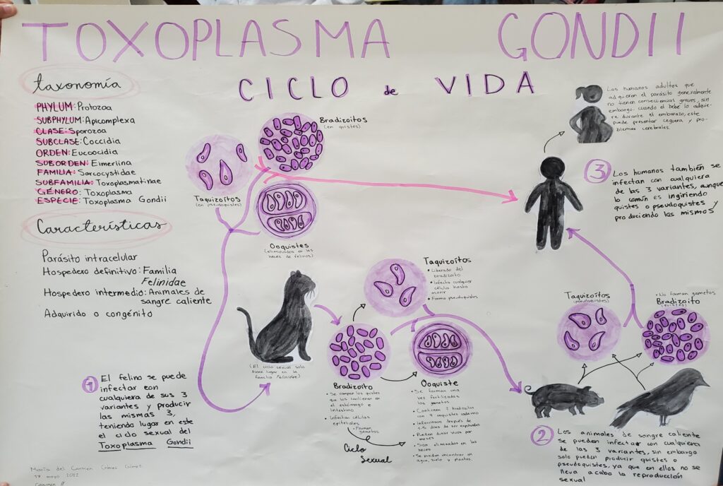 The Zombie Makers: Meet the Parasites That Control Animal Minds