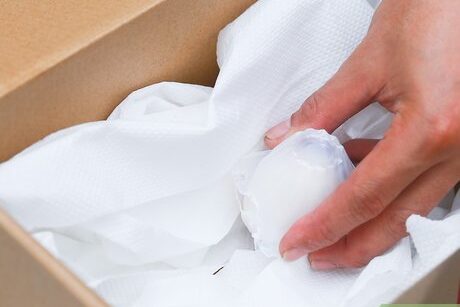 15 Classic Science Fair Projects That Still Win Prizes