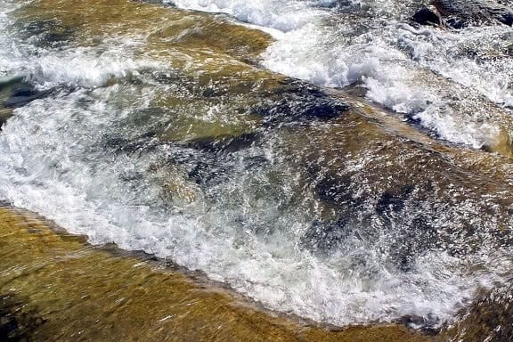 The 23 &#8220;Science Facts&#8221; Everyone Still Believes That Are Actually Complete Nonsense