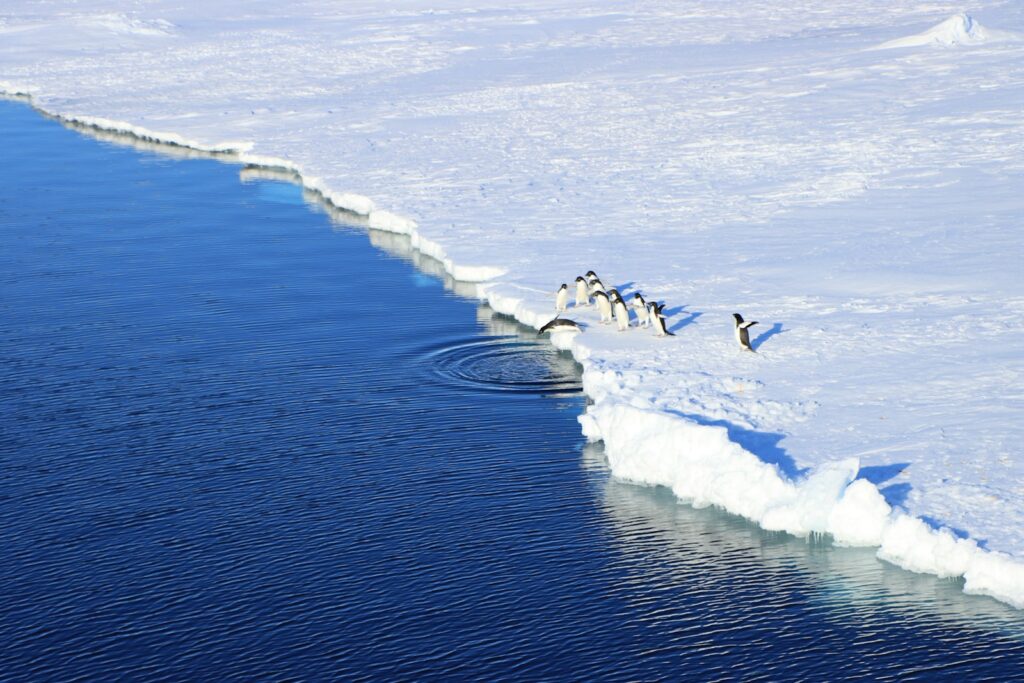 Antarctic Ice Cores Reveal 800,000-Year Climate History in Unprecedented Detail