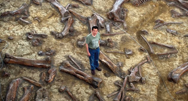 The 289-Million-Year-Old Skin That Rewrites Evolution History