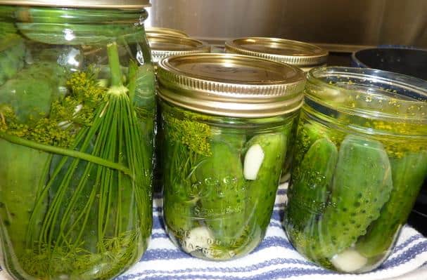 Your Gut Bacteria Might Be Controlling Your Depression &#8211; New Research Find