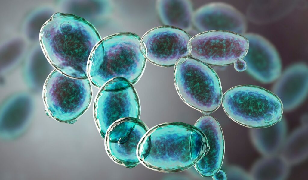 15 Experiments Bringing Us Closer to Creating Life From Scratch