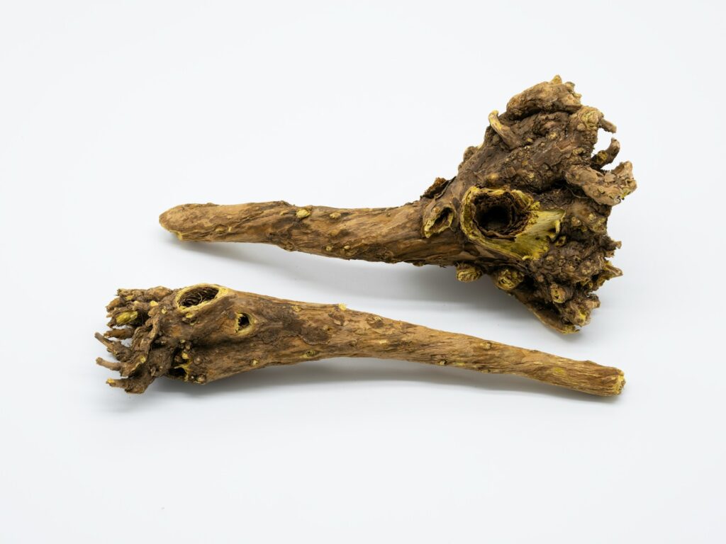 Archaeologists discover 3,000-year-old structure mentioned in the Bible