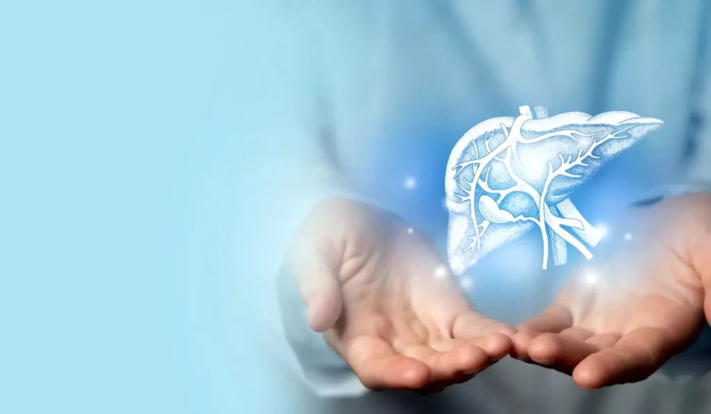 The Circadian Rhythm Crisis: How Ignoring Your Body Clock Triggers 21 Hidden Health Disasters