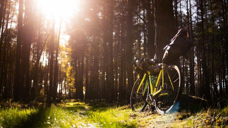 Every Atom in Your Body Is Billions of Years Old—Except for One Element