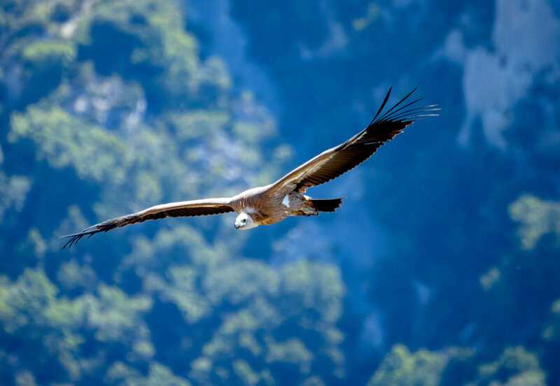 Top 15 Most Bizarre Uses for DNA