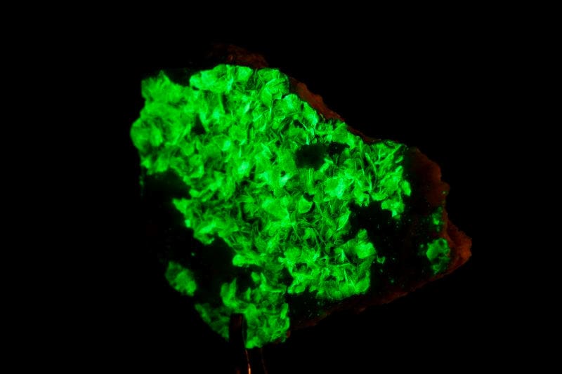 15 Most Dangerous Elements on the Periodic Table