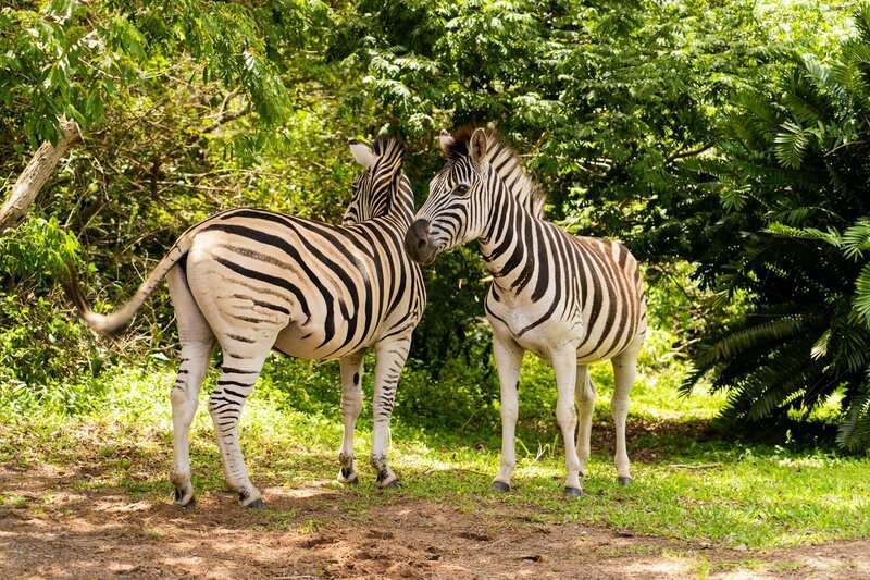 15 Bizarre Things That Happened When Science Mixed Species