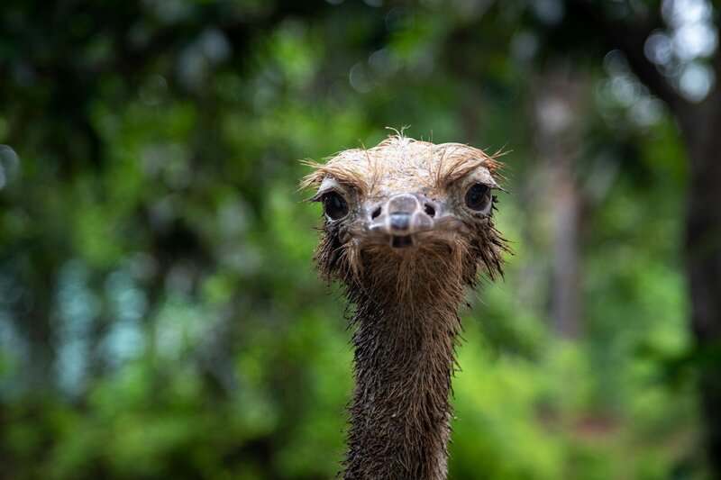 The 23 &#8220;Science Facts&#8221; Everyone Still Believes That Are Actually Complete Nonsense