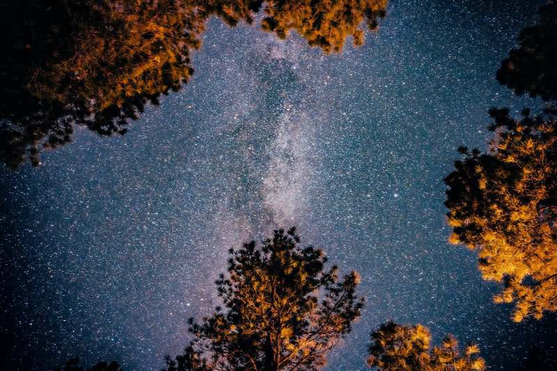 Top 15 Science Facts That Sound Fake (But Are 100% True)