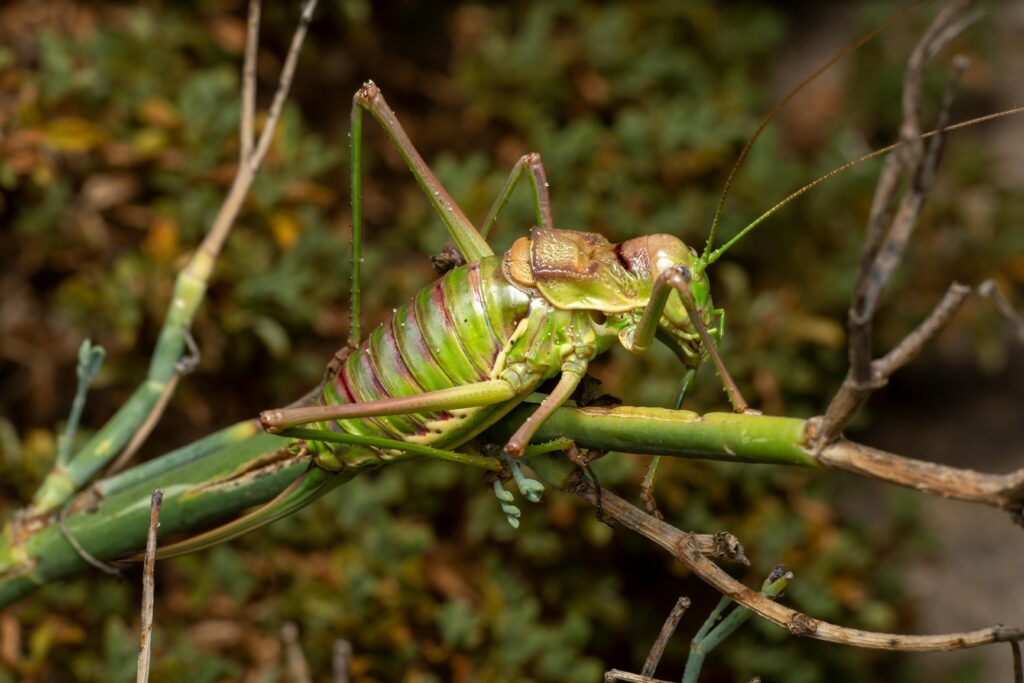 15 Strange Foods Scientists Have Created in the Lab