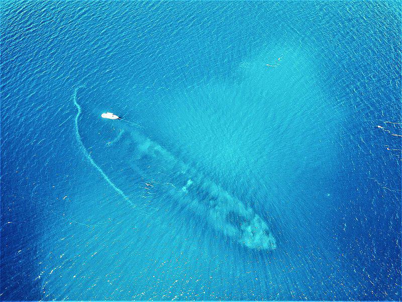 11 Shipwrecks That Turned into Thriving Artificial Reefs