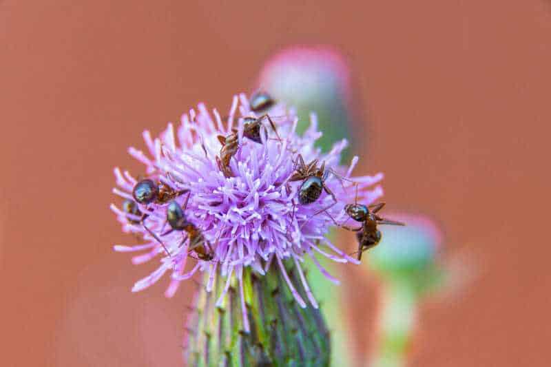 15 Scary Predictions Scientists Have Made About the Future