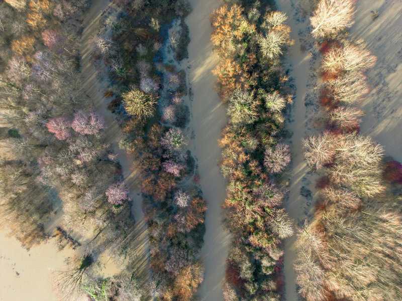 15 Scary Predictions Scientists Have Made About the Future