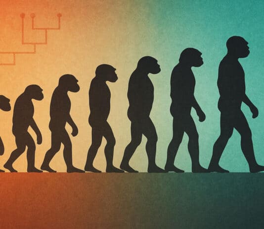 6 Experiments in Evolution That Changed How We See Ourselves