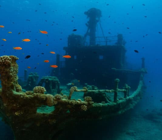 11 Shipwrecks That Turned into Thriving Artificial Reefs