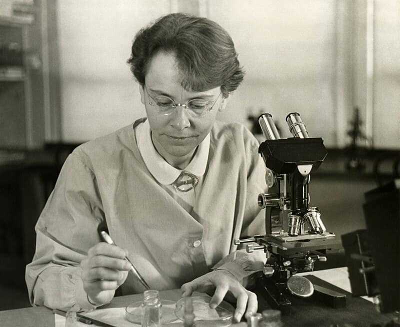 The Untold Power of 15 Women Who Shaped Our Scientific World