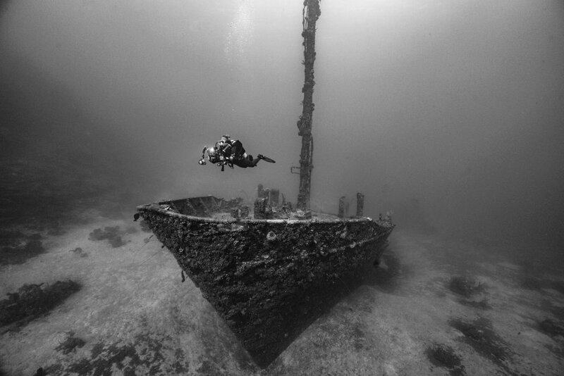 11 Shipwrecks That Turned into Thriving Artificial Reefs