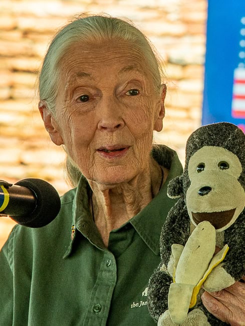 Jane Goodall and the Chimps That Changed Science Forever