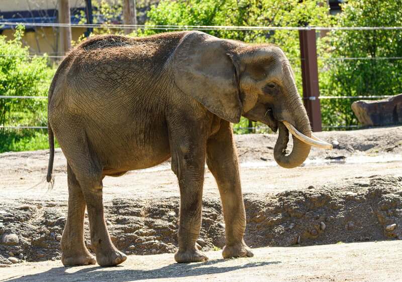 15 Creepy Scientific Experiments That Actually Happened